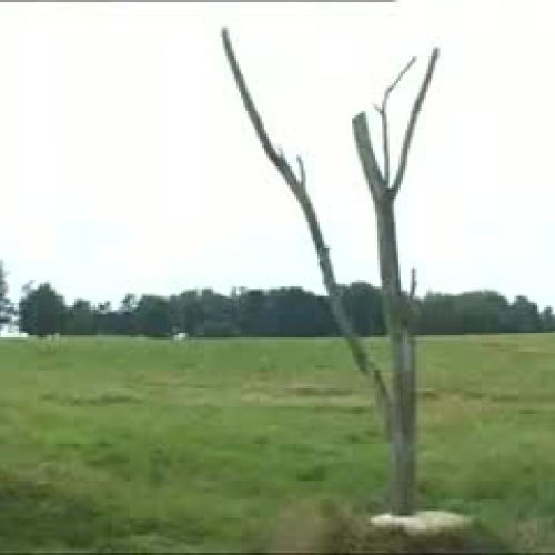 The Story of the Third Reich