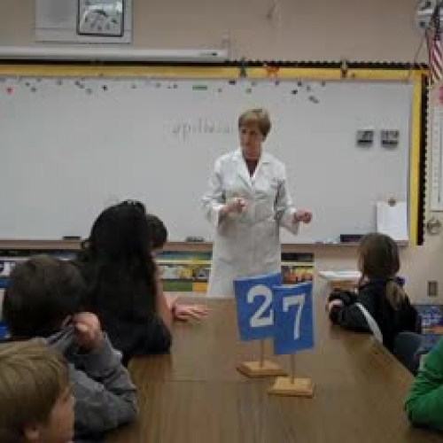 5th Grade Chicken Wing Dissection