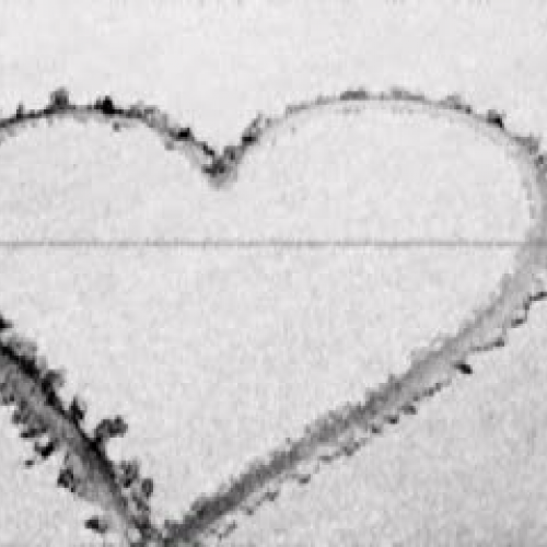 The Truth About Forever