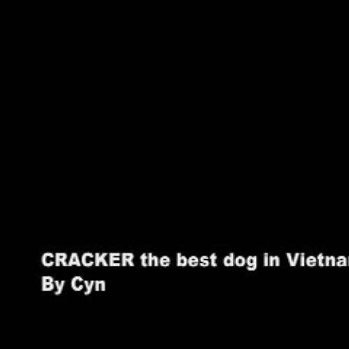 Cracker