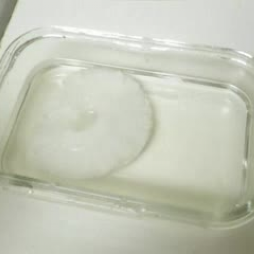 Black &amp; White-Alvin