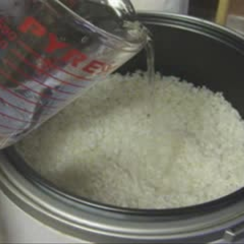 Fried Rice (English)