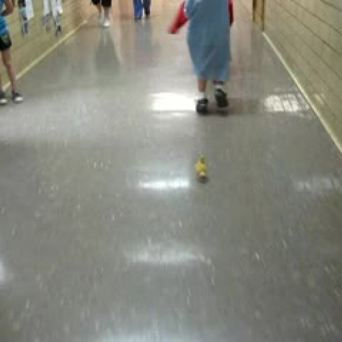 Make Way for Ducklings