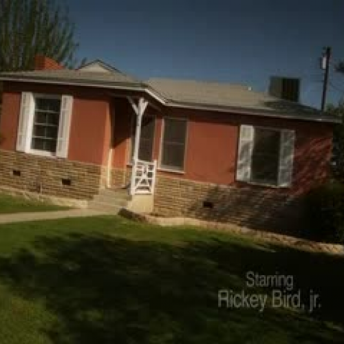 IMPACT Drunk Driving PSA