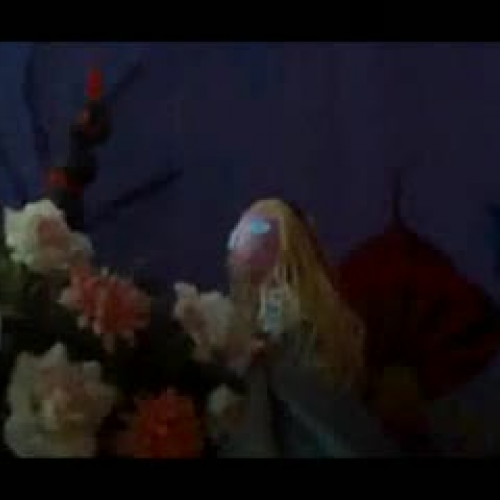 Alicia en el país de las emociones (parte 2)