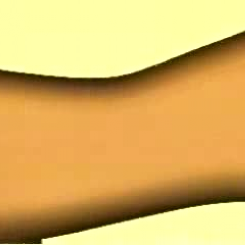 The Sense of Hearing