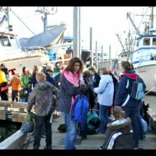 Halen - Kasitsna Bay