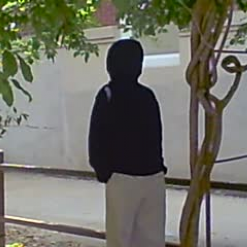 Kate, Alfonso, and Elexis