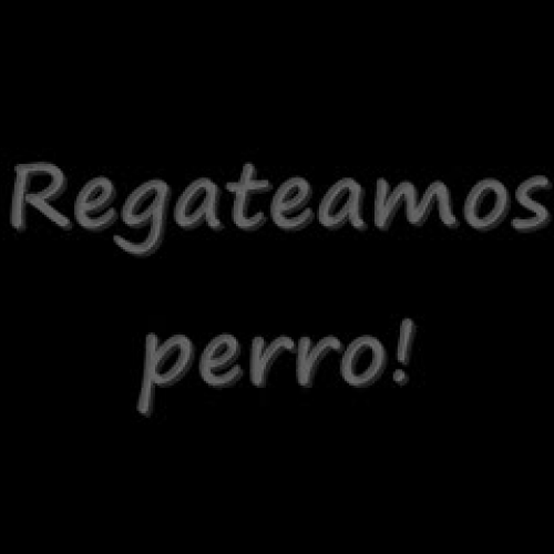 Spanish Bargain Project