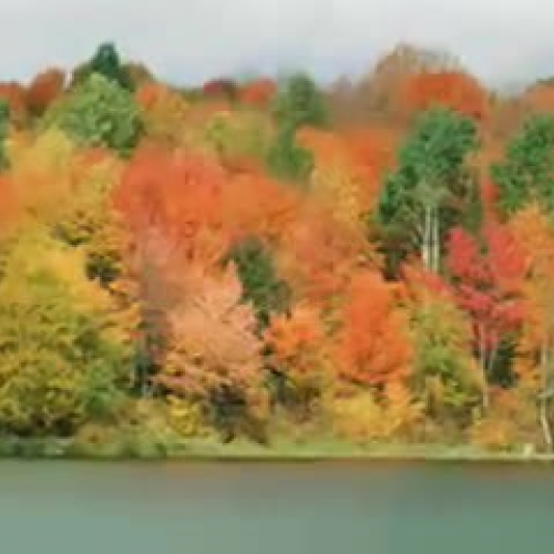 Lauryn's I am From Poem