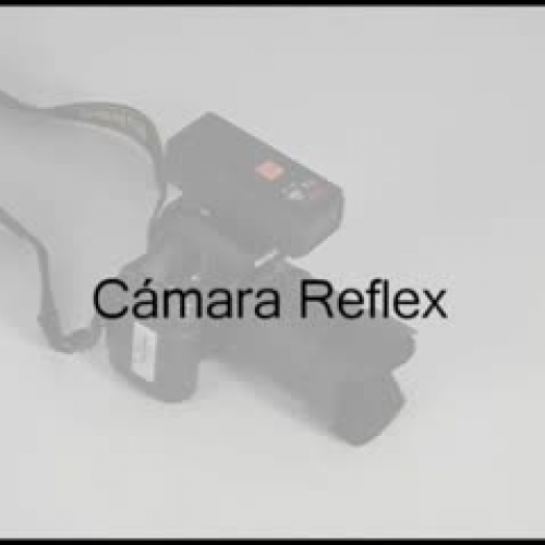 Fotografía de Objeto y Fondo