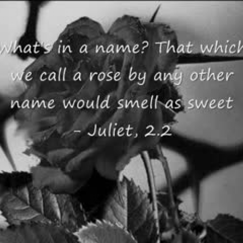 Romeo and Juliet quotes