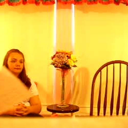 Holocaust Book Report