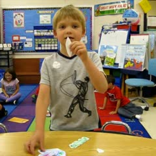 Life Cycle of a Butterfly