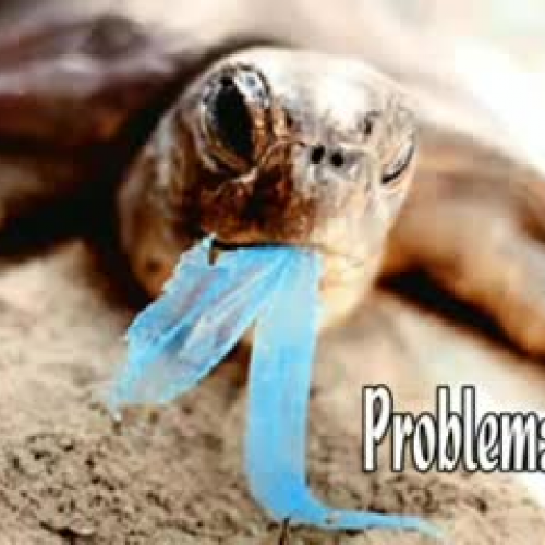 let's reduce plastic