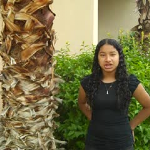 Laura's Final Project