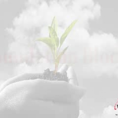 iWatch Systems LLC (access, parking &amp; sur