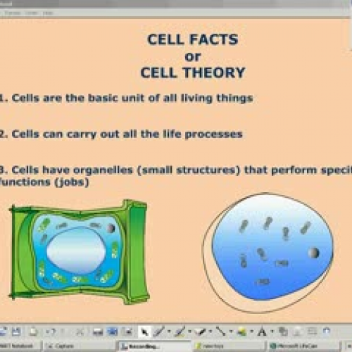 Cell Theory