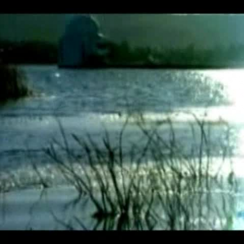 Earth and the Universe