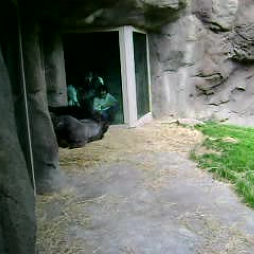 Locked in the closet