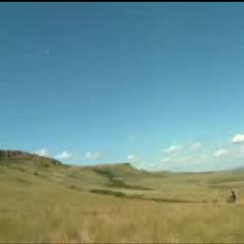 EDIT 202 Sample Video