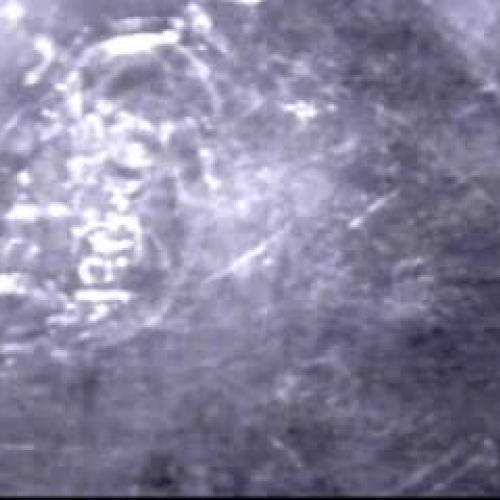 EDIT 202 Sample Video