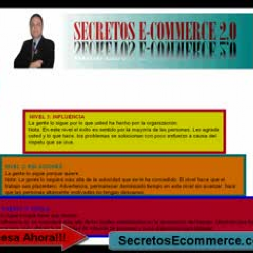 niveles del liderazgo-negocios por internet 2