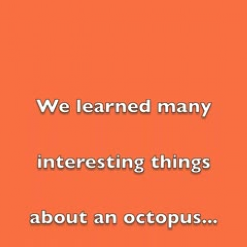 We Know About An Octopus