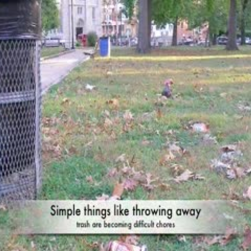 APES Final Project PSA