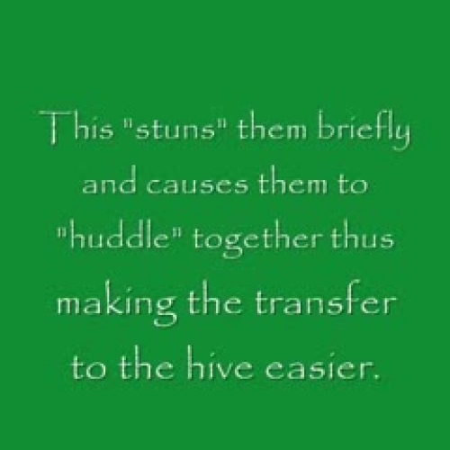 Green Dell Honey Bee Installation