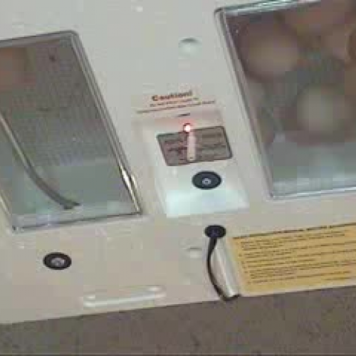 All Night Chick Flick