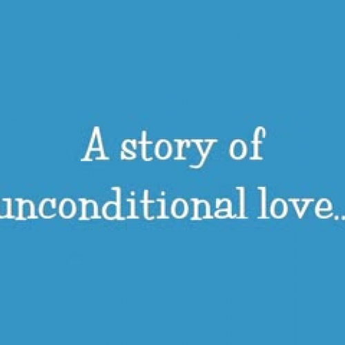 Who Loves the Little Lamb