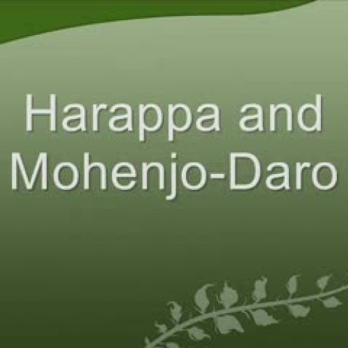 Walnut India and Persia Project