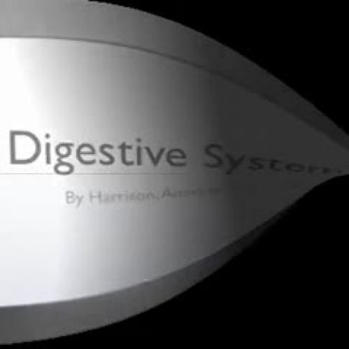 Digestive