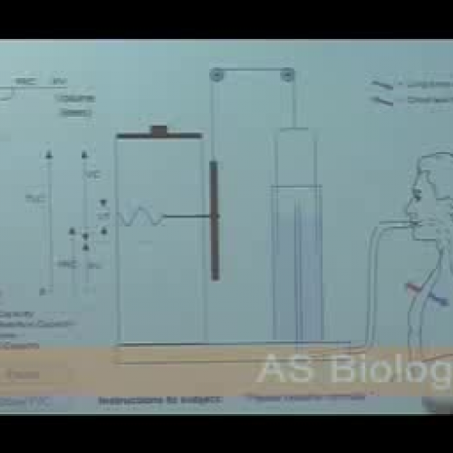 Post compulsory lessons