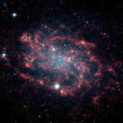 Earth Idol Sam T and Sydney L