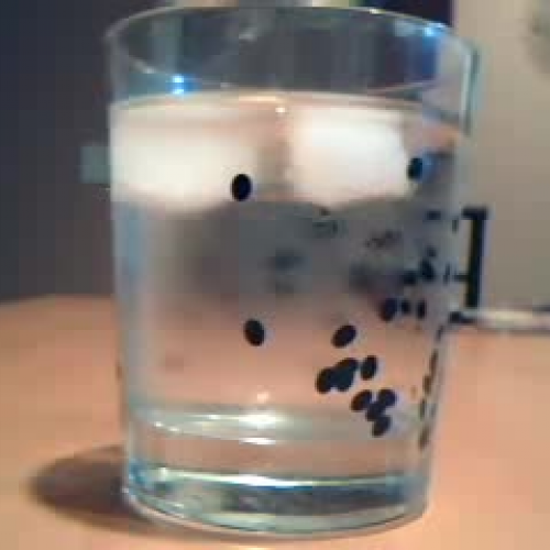 How much water is in the cup?