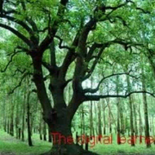 Learininh technologies