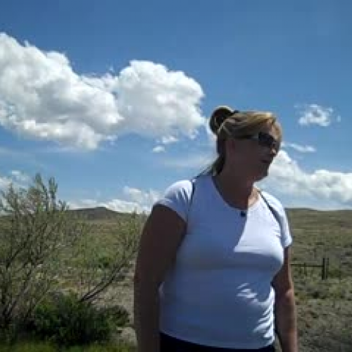 Lesson's in the Park