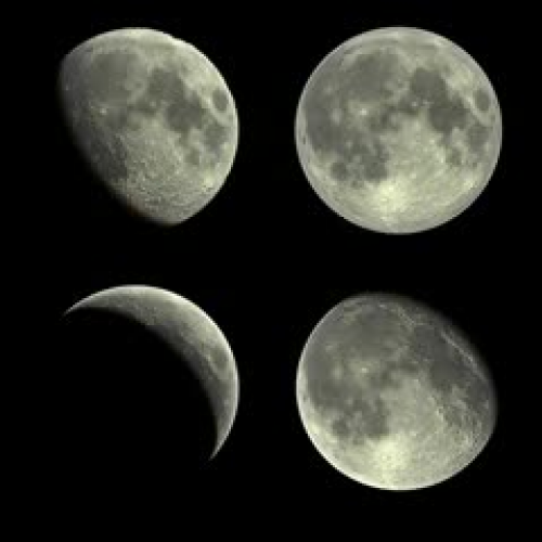 Phases of the Moon