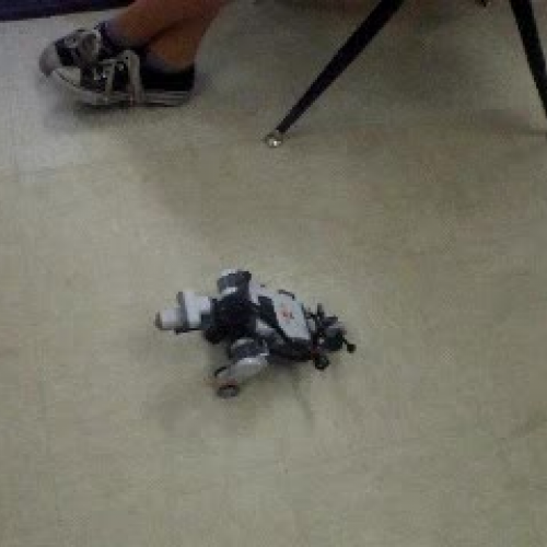 Square Dog: Trial One