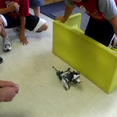 Square Dog: Trial Two