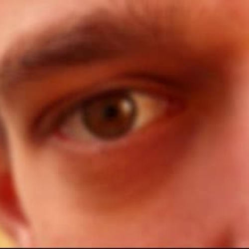 Frankenstein - UCF - Digital Story