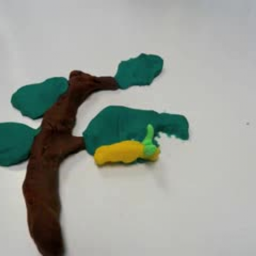 Butterfly life cycle