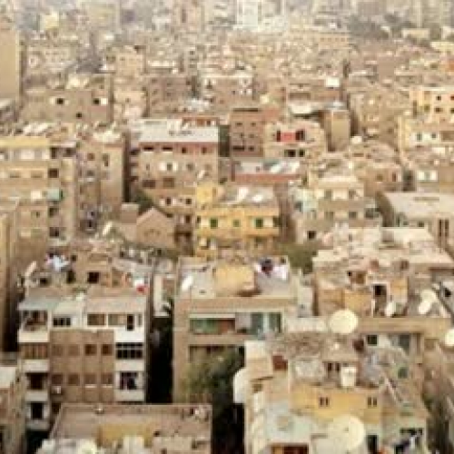 RED 4043 Digital Story