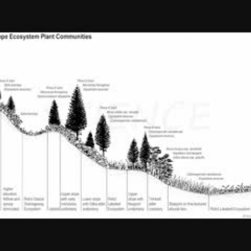 Where to find Slope.