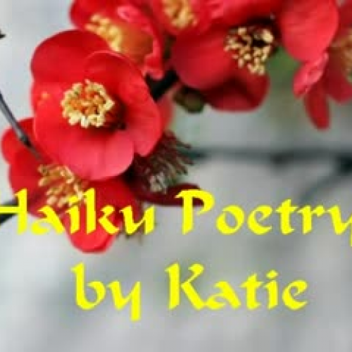 Haiku