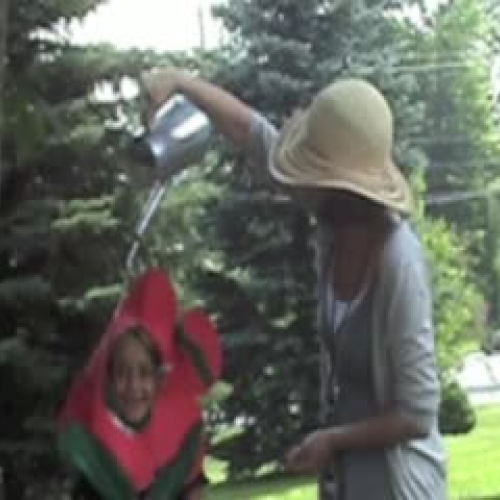 The Lost Flower Children