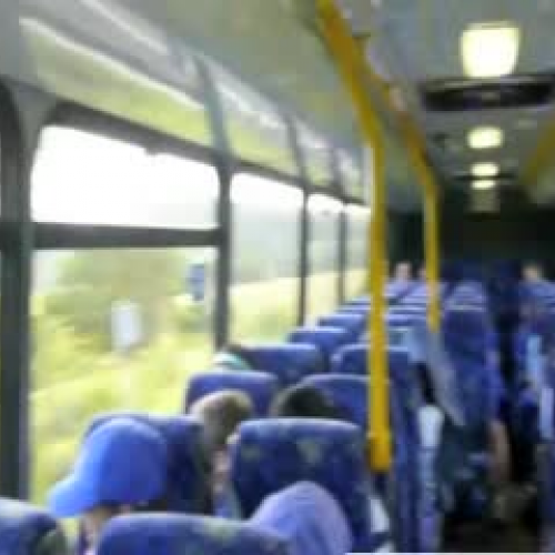 Minnamurra Rainforest