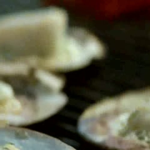 High Profile Opportunities To Join The Canadi